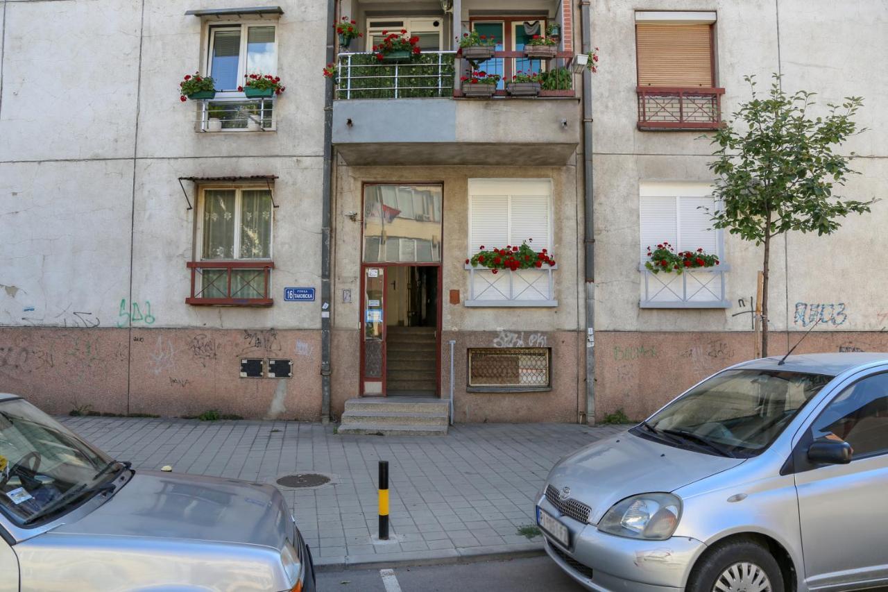 Apartament Apartman Marija Pirot Zewnętrze zdjęcie