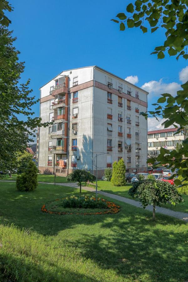 Apartament Apartman Marija Pirot Zewnętrze zdjęcie