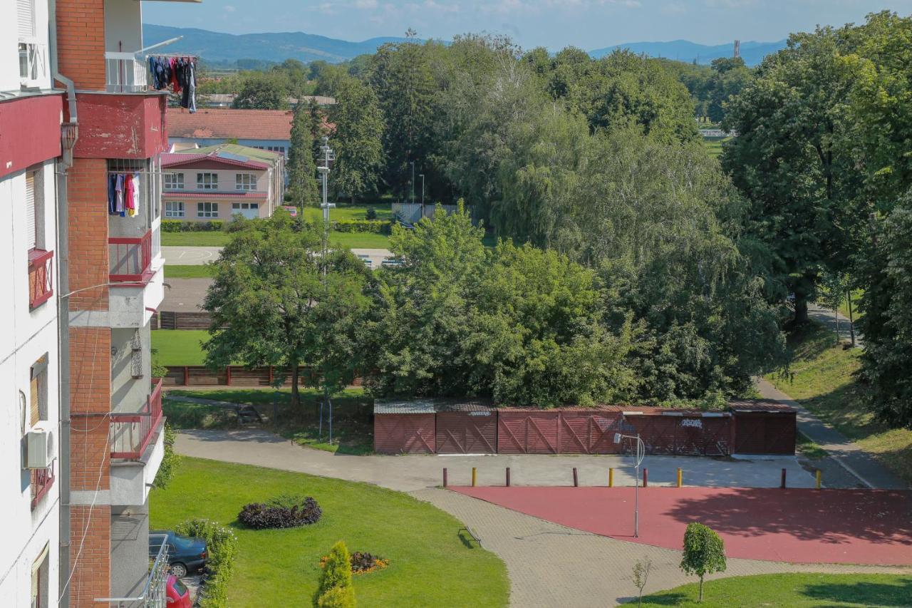 Apartament Apartman Marija Pirot Zewnętrze zdjęcie