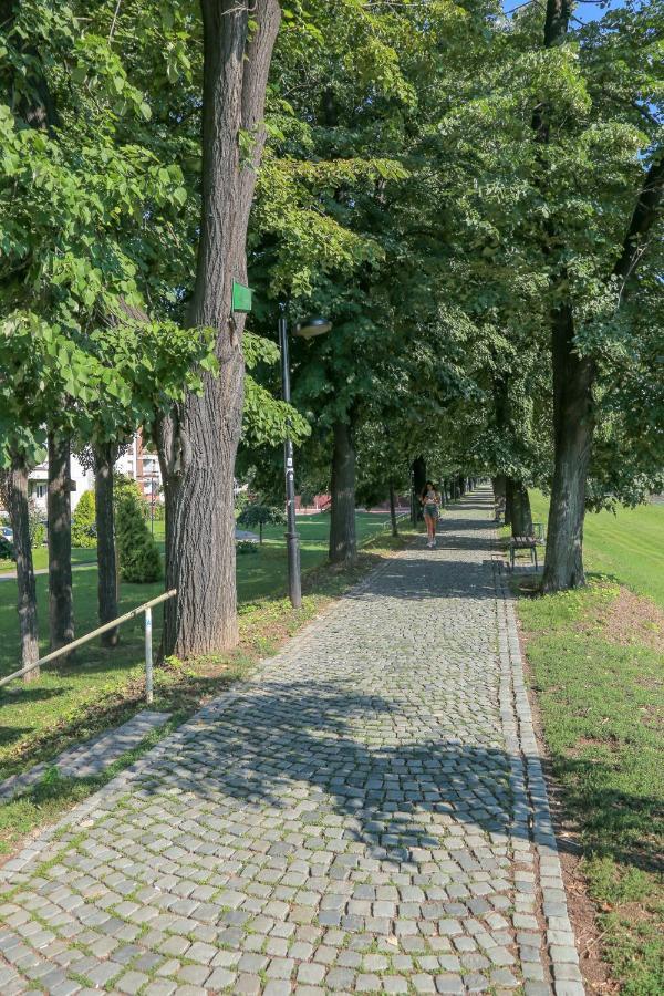 Apartament Apartman Marija Pirot Zewnętrze zdjęcie