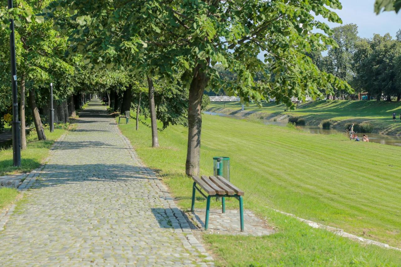 Apartament Apartman Marija Pirot Zewnętrze zdjęcie