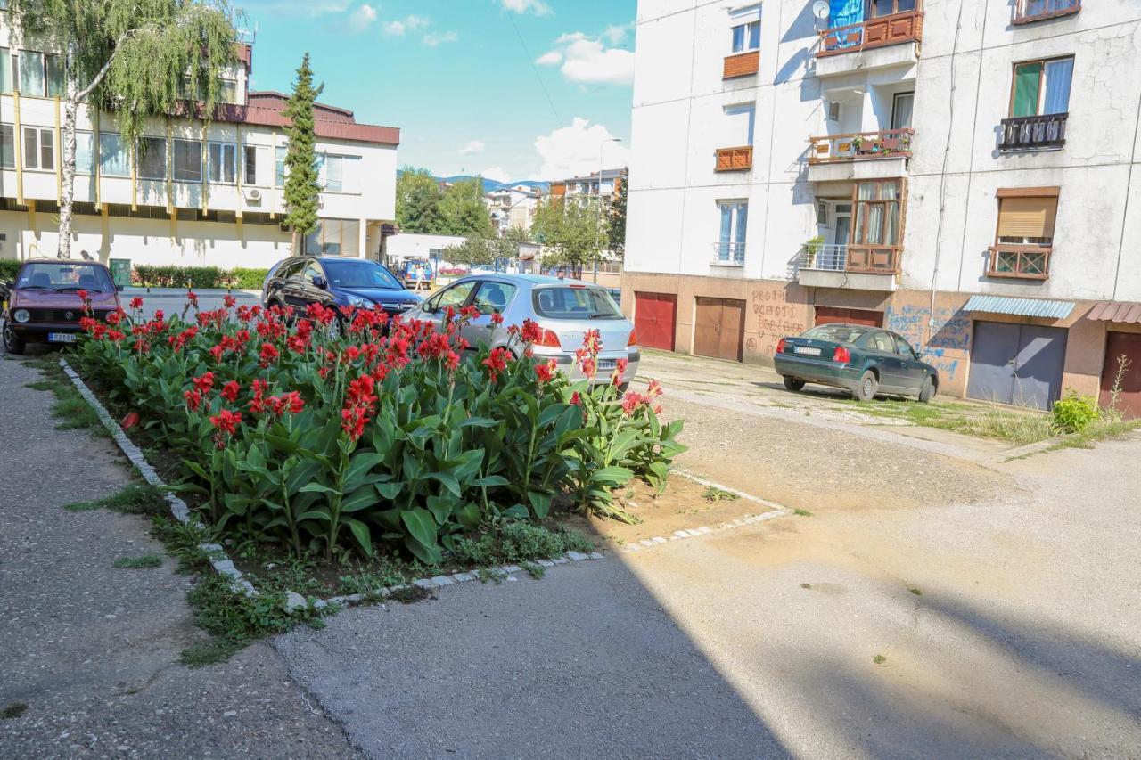 Apartament Apartman Marija Pirot Zewnętrze zdjęcie