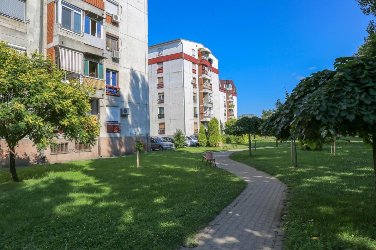 Apartament Apartman Marija Pirot Zewnętrze zdjęcie