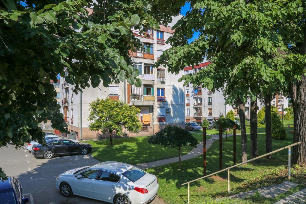 Apartament Apartman Marija Pirot Zewnętrze zdjęcie
