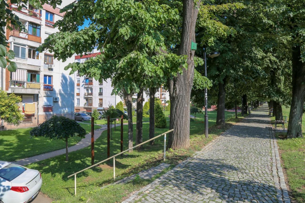 Apartament Apartman Marija Pirot Zewnętrze zdjęcie